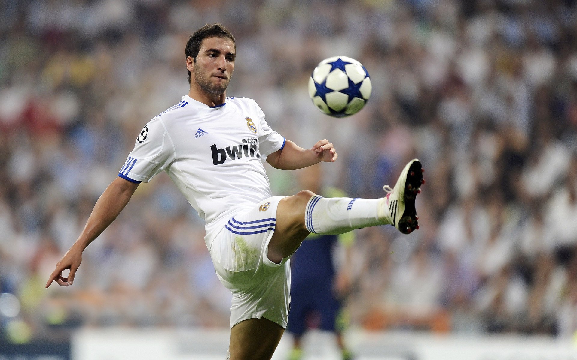 Palmer未来在国际赛场备受期待，pal赛事