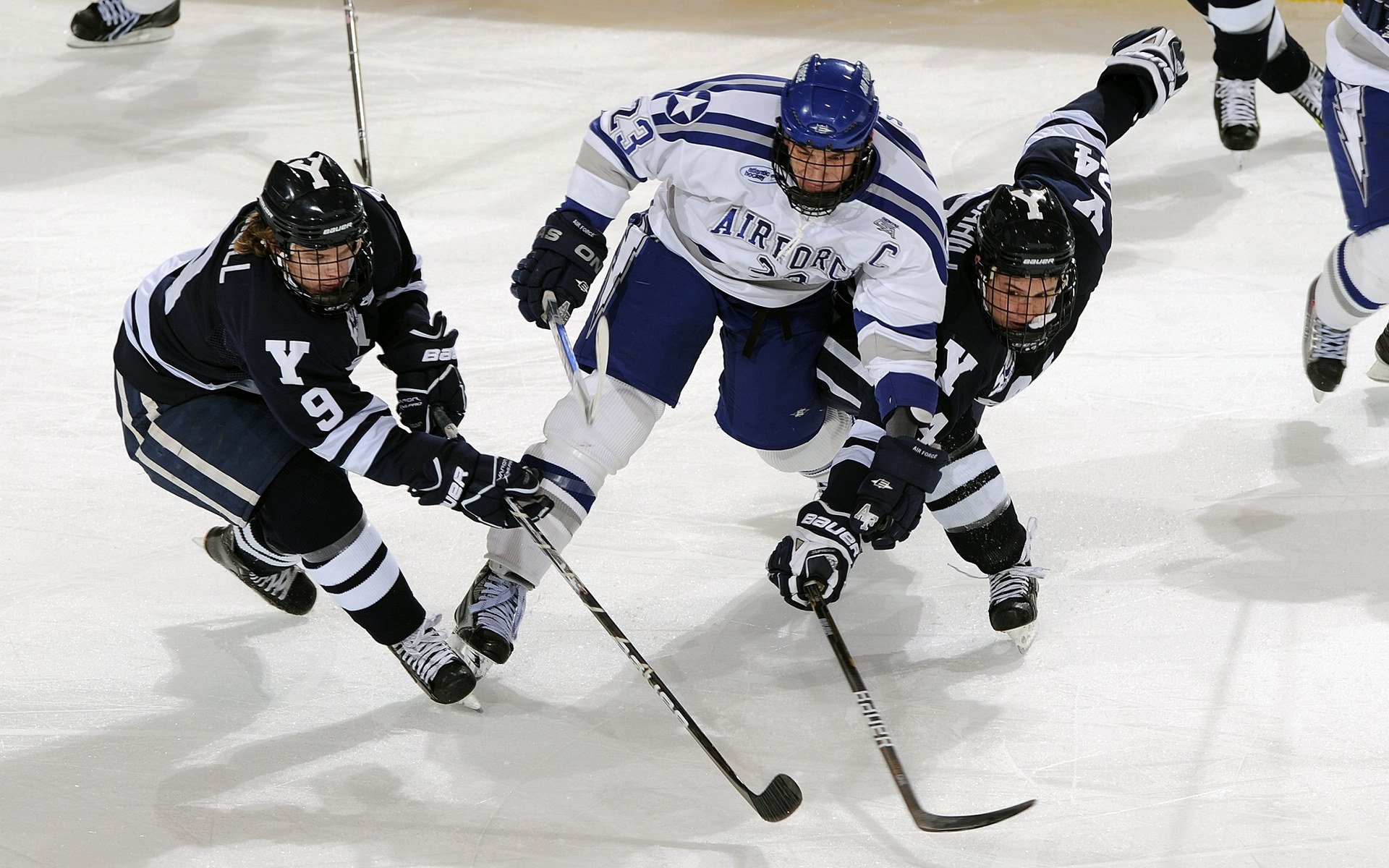 体育新闻中心联合地方平台开设体育公益传播专区，体育新闻官网