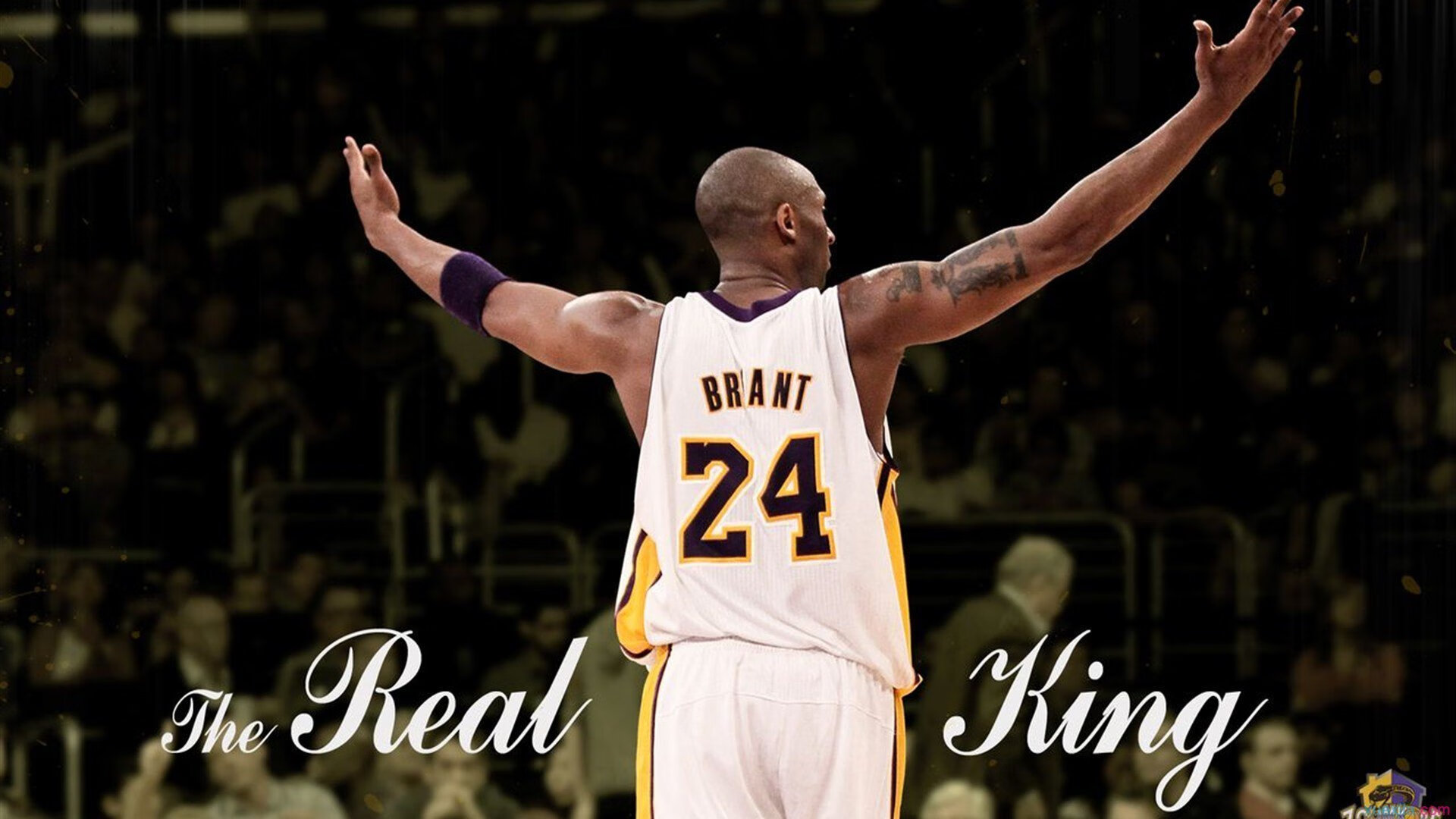 体育电影配乐现场演奏+经典片段跑步观影活动